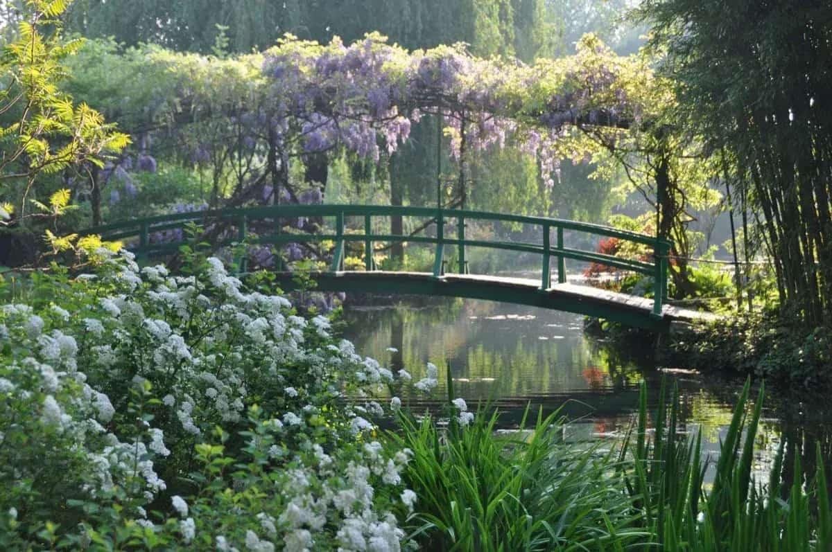 Monet's green Japanese bridge draped in wisteria over the water garden at Giverny